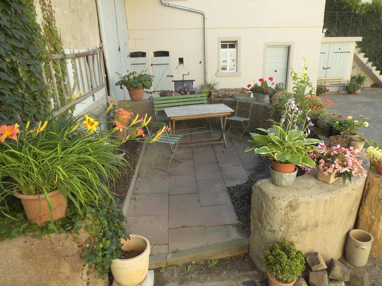 Gaestezimmer Mittelgasse Florsheim-Dalsheim Kültér fotó