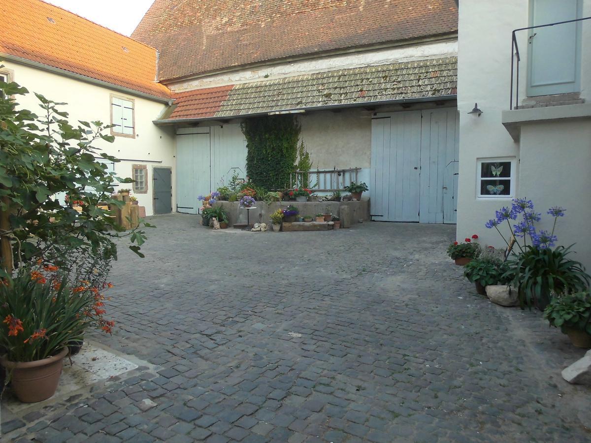 Gaestezimmer Mittelgasse Florsheim-Dalsheim Kültér fotó