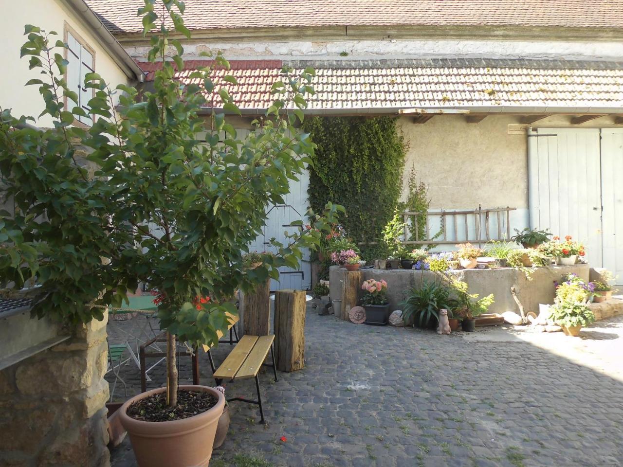 Gaestezimmer Mittelgasse Florsheim-Dalsheim Kültér fotó